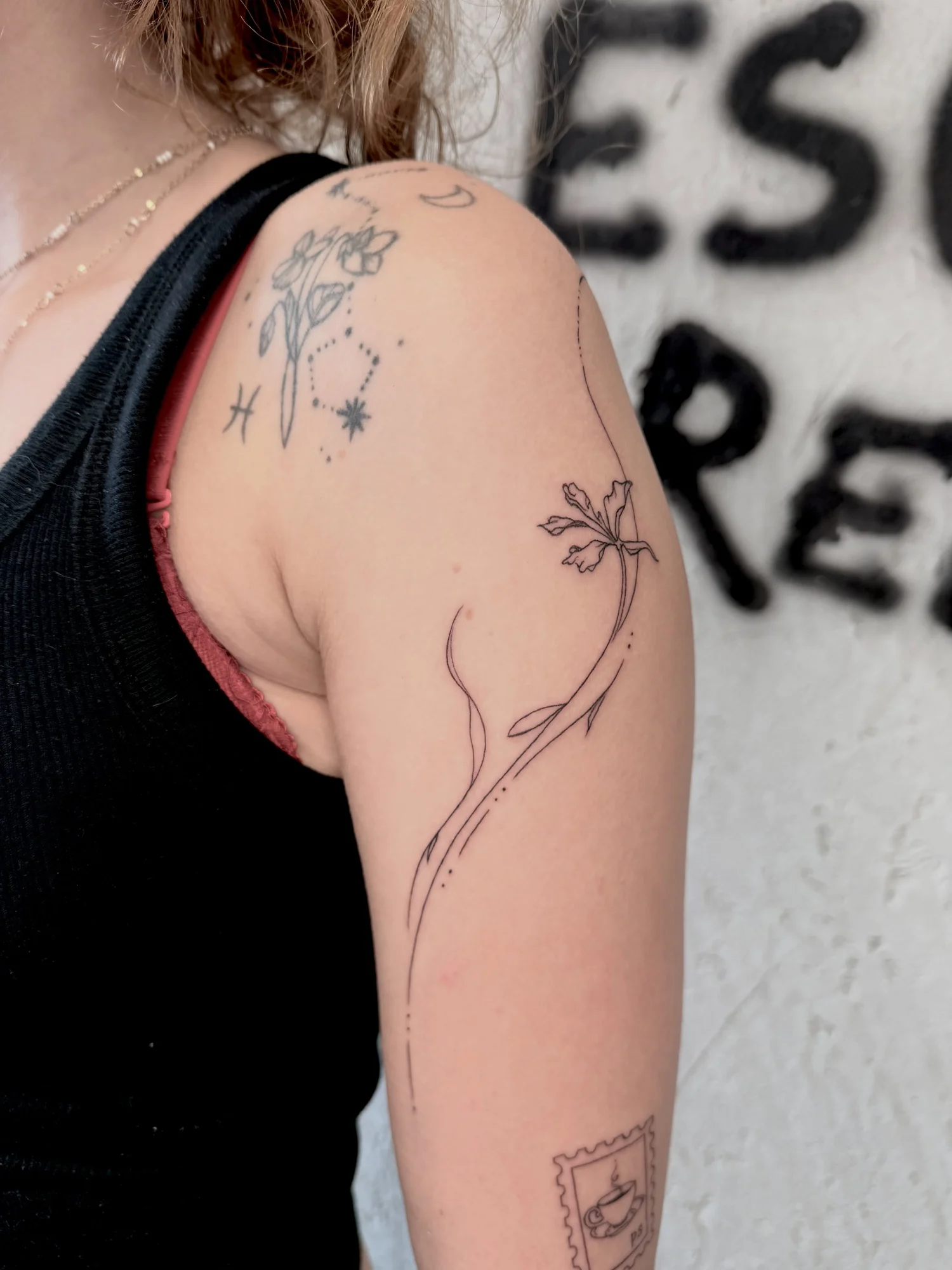 Fineline Blume